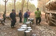 Bà Rịa - Vũng Tàu: Giá cao su liên tục giảm, doanh nghiệp và tiểu điền gặp khó 